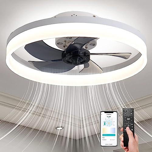 PIPRE Ceiling Fan with Lights