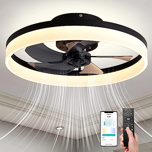 PIPRE Ceiling Fan with Lights - Innovative Combination of Light and Fan