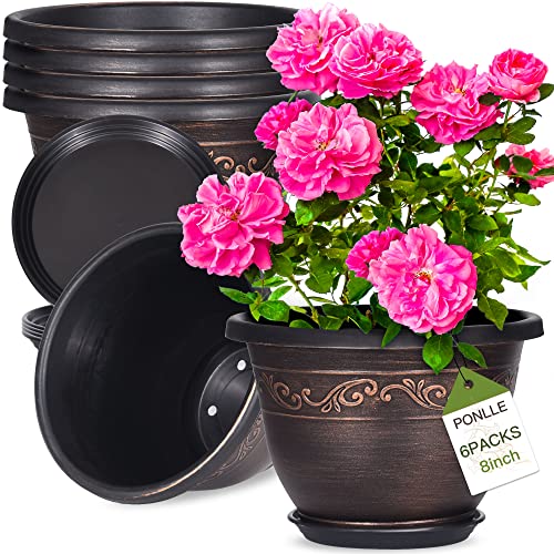 Plastic Plant Flower Planters - 8 Inch With Drainage Hole & Saucer, 6 Packs