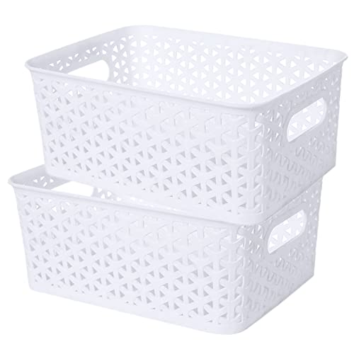 Plastic Storage Basket - 2 Pack