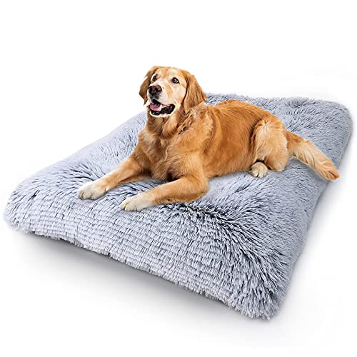 Plush and Cozy Dog Bed for Ultimate Comfort