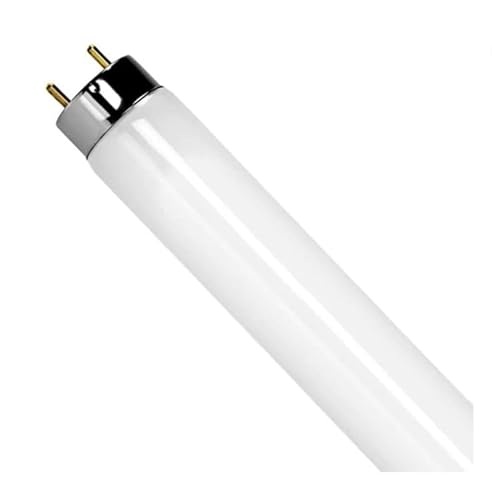 Plusrite (10 Pack) F17T8/841 17W 24 Inch T8 Fluorescent Tube Light Bulb