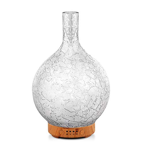 Porseme Silver Plated Glass Essential Oil Diffuser