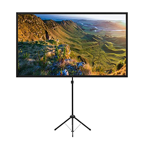 Portable 100 Inch Outdoor Projector Screen with Stand