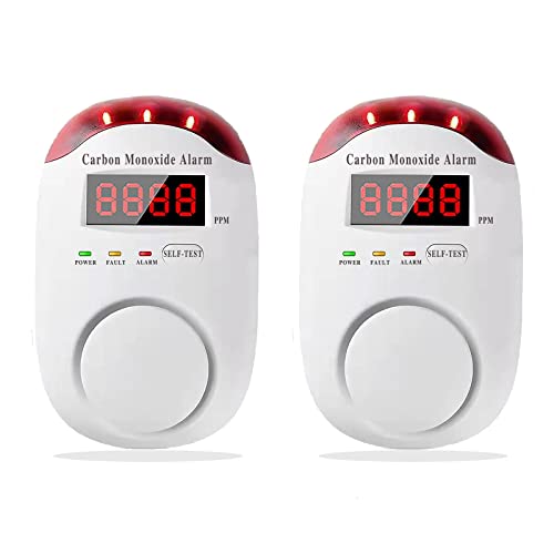 Portable Carbon Monoxide Detector