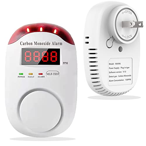 Portable Carbon Monoxide Detector