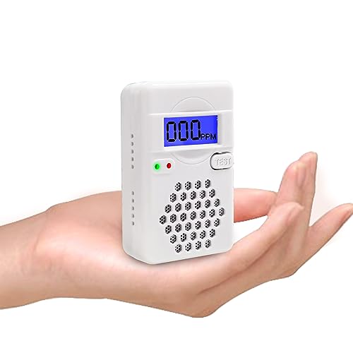 Portable Carbon Monoxide Detector Alarm