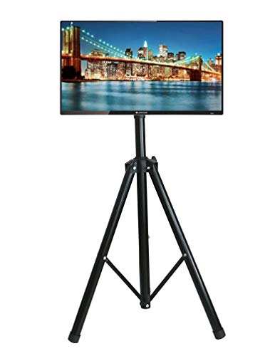 Portable Floor Stand for 32" to 55" Flat Screens