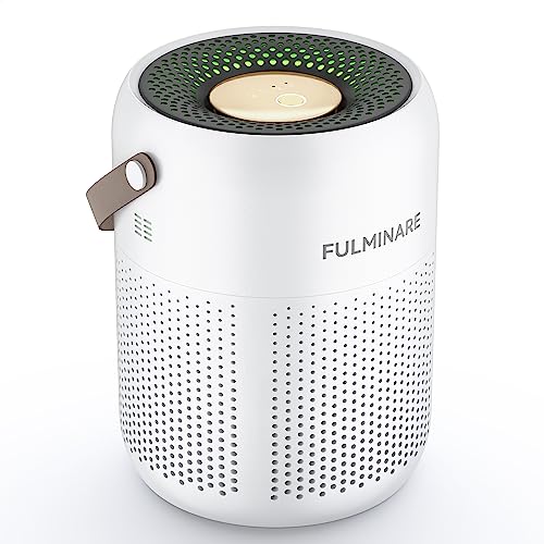 Portable FULMINARE Air Purifiers
