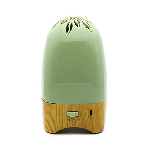 Portable Heatless & Waterless Scent Diffuser