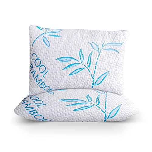 Potomac Home Goods Bamboo Pillows - Queen Size