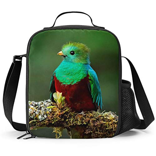 PrelerDIY Bird Lunch Box