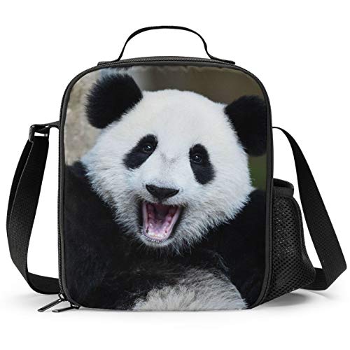 PrelerDIY Panda Lunch Box