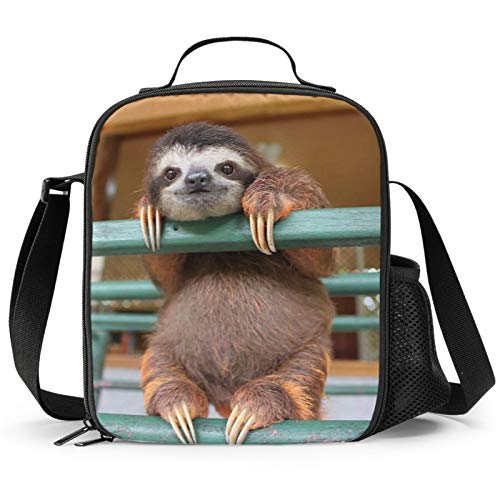 PrelerDIY Sloth Lunch Box