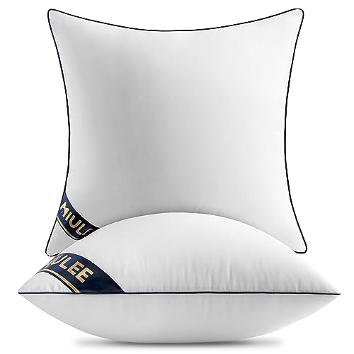 Premium Euro Pillow Inserts Set of 2