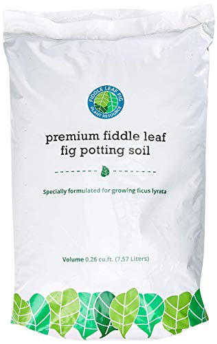 Premium Fiddle Leaf Fig Tree Potting Soil