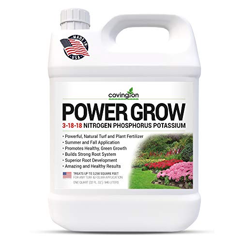 Premium Liquid Lawn Fertilizer (32 OZ)