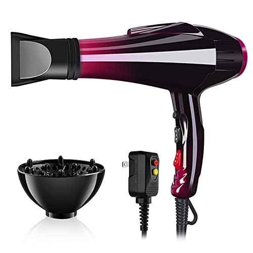 Professional Blow Dryer with Ionic Technology