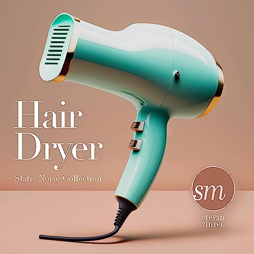 Versatile Hair Dryer & Styler
