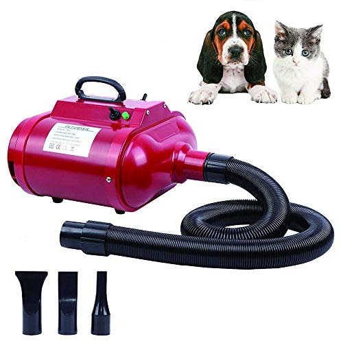 Powerful Pet Hair Dryer for Grooming - 2500W Double Motor