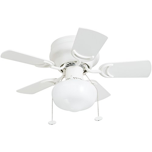 Prominence Home Hero 28 Inch Ceiling Fan with Light