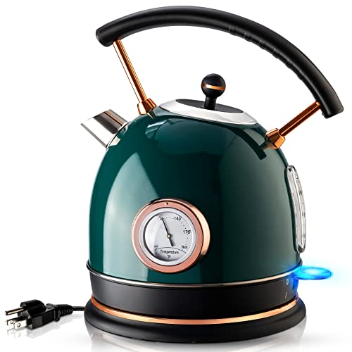 https://storables.com/wp-content/uploads/2023/11/pukomc-electric-water-kettle-with-temperature-gauge-41bRijnnPsL.jpg