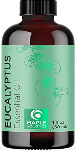 Maple Holistics Eucalyptus Oil: Pure Aromatherapy for Home & Self Care