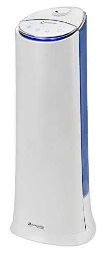 PureGuardian H3200WAR Cool Mist Humidifier