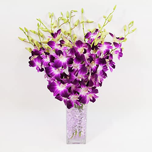 Purple Dendrobium Orchids with Vase