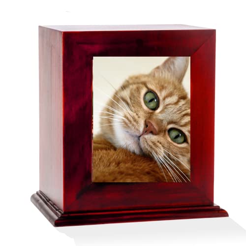 PURRFECT POUCH Picture Box Pet Urn