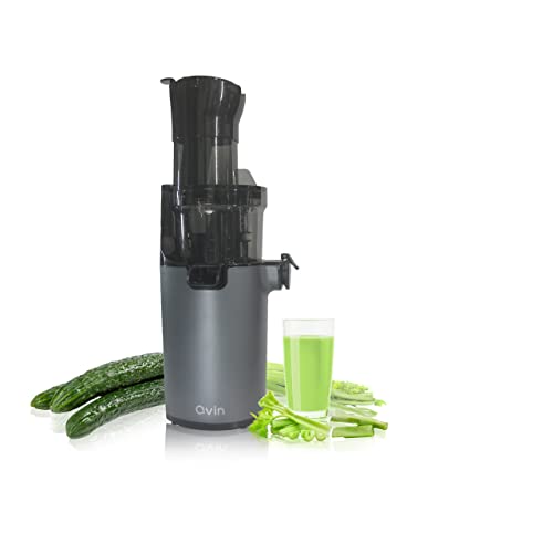 Qvin Slow Masticating Juicer Machines