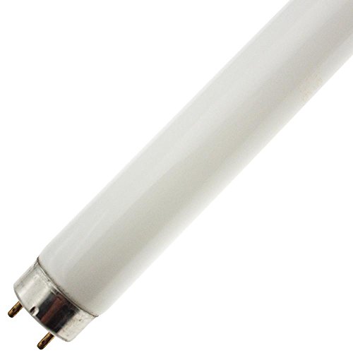 Radient F32T8/TRITEN 41 Fluorescent Tube Light Bulb (1 Pack)