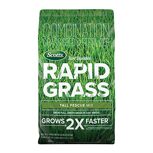 Rapid Grass Tall Fescue Mix