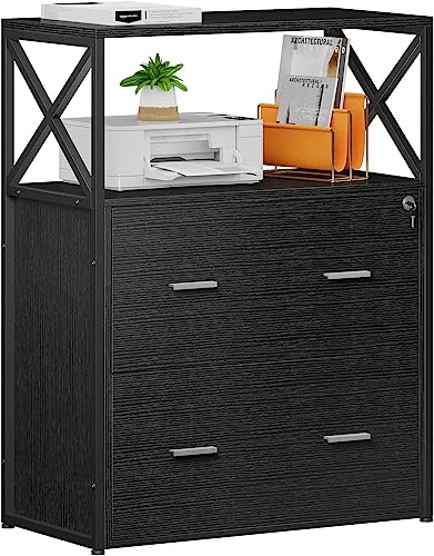 Raybee Filing Cabinet for Home Office