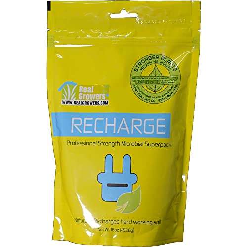 Real Growers Recharge - Plant Growth Stimulant (16oz)