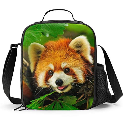 Red Panda Lunch Box