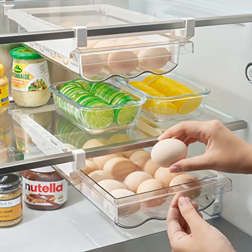 Refrigerator Egg Holder