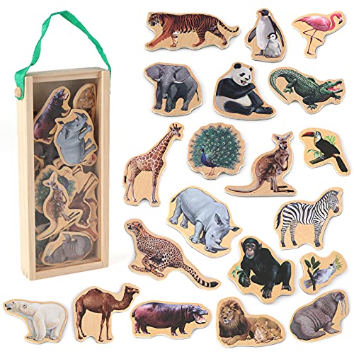 Refrigerator Magnets for Kids Zoo Animals