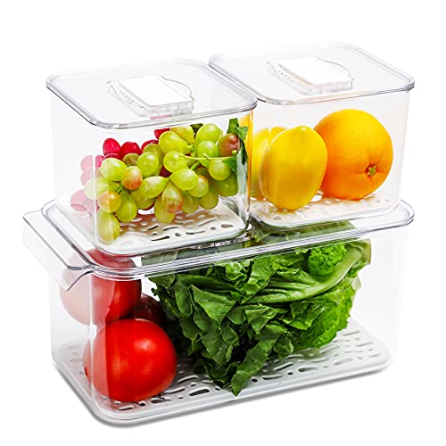  LUXEAR Fruit Vegetable Storage Container, 4 Pack Fresh  Containers for Fridge with Lids BPA-Free Produce Refrigerator Organizer for  Fruit, Veggie, Berry, Meat Storage Keep Fresh Longer-Green: Home & Kitchen
