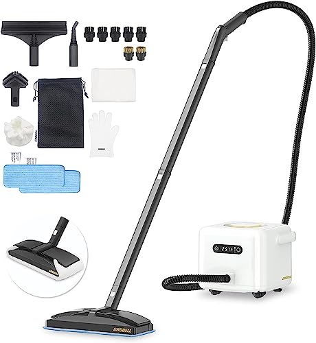 2800W High Pressure Steam Cleaner, Handheld Portable High Temperature Steam  Cleaning Machine for Kitchen Bathroom Grout Tile Furniture and Cars, with