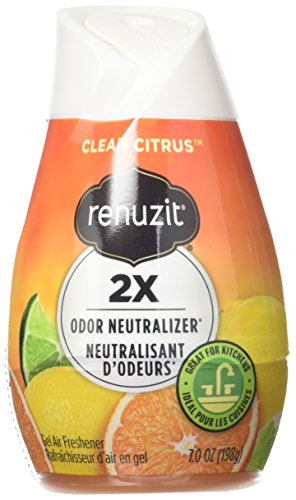 Renuzit Citrus Sunburst Air Freshener