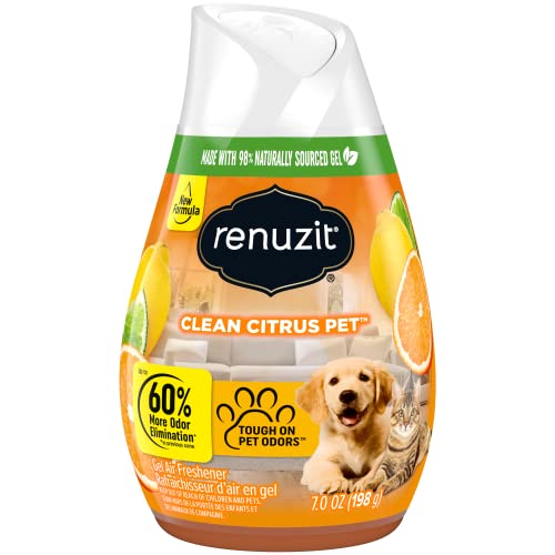 Renuzit Citrus Sunburst Air Freshener Gel