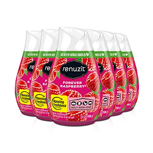 Renuzit Forever Raspberry Air Freshener Gel (6 Count)