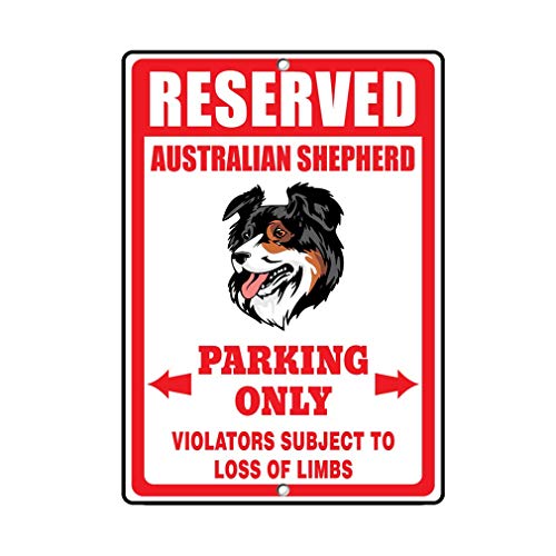 Reserved for Fun Vertical Metal Sign