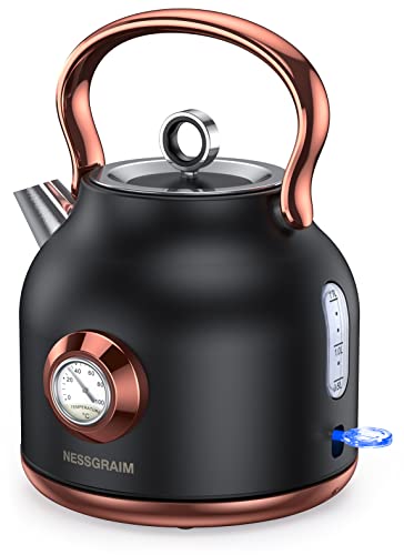 Retro Electric Kettle with Large Temperature Gauge