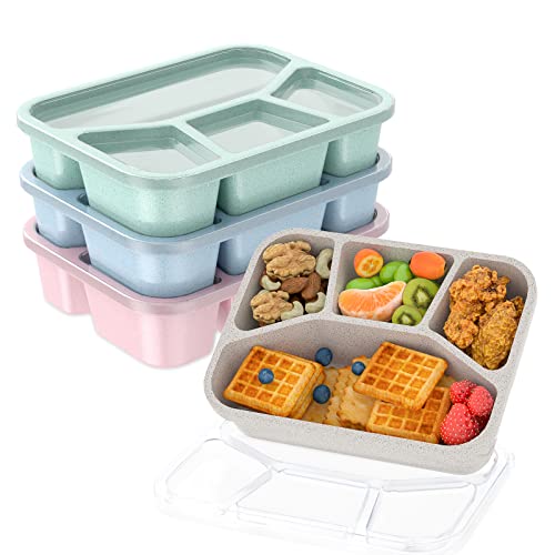 Reusable Bento Lunch Box for Work School Travel