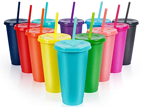 Reusable Plastic Cups with Lids Straws