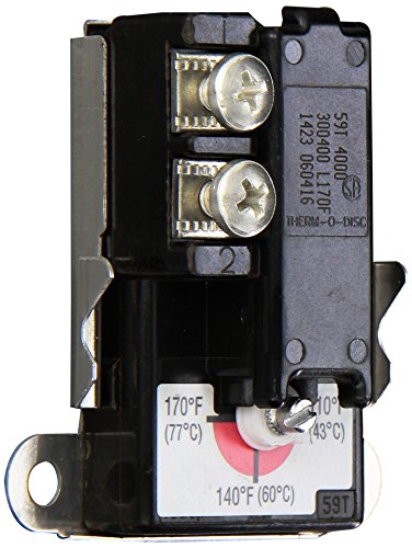 Rheem SP8295 Thermostat-Electric, Small