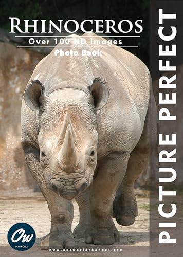 Rhinoceros: Picture Perfect Photo Book
