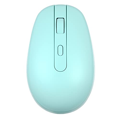 Rii Wireless Mouse RM700